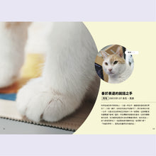將圖片載入圖庫檢視器 黃阿瑪的後宮生活 8 最珍惜的時光(贈隨書禮)