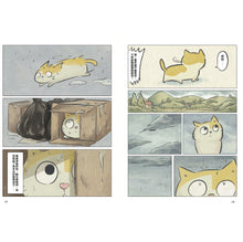 將圖片載入圖庫檢視器 黃阿瑪的後宮生活 阿瑪流浪記:在相遇之前的故事(預購)