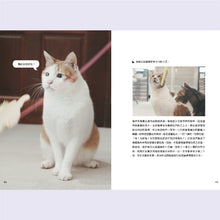 將圖片載入圖庫檢視器 黃阿瑪的後宮生活 8 最珍惜的時光(贈隨書禮)