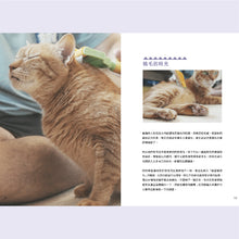 將圖片載入圖庫檢視器 黃阿瑪的後宮生活 8 最珍惜的時光(贈隨書禮)