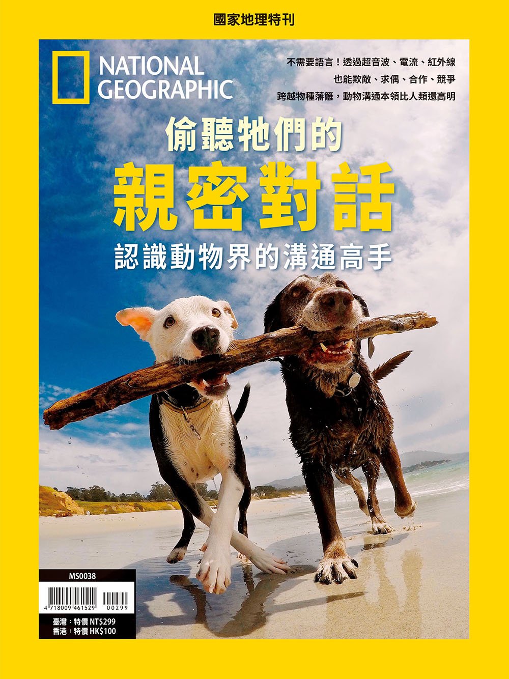 國家地理雜誌 中文版 紙本 訂閱 1年12期 合購 《偷聽他們的親密對話》特刊
