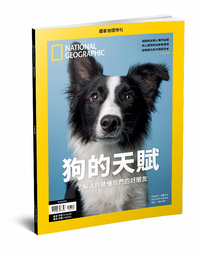 國家地理雜誌 中文版 紙本 訂閱 1年12期 合購 《狗的天賦》特刊